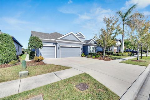 A home in APOLLO BEACH