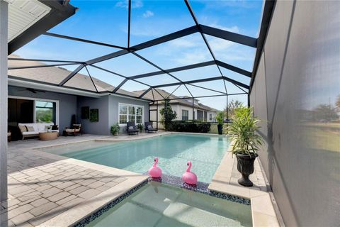 A home in APOLLO BEACH