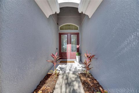 A home in APOLLO BEACH