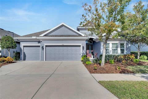 A home in APOLLO BEACH