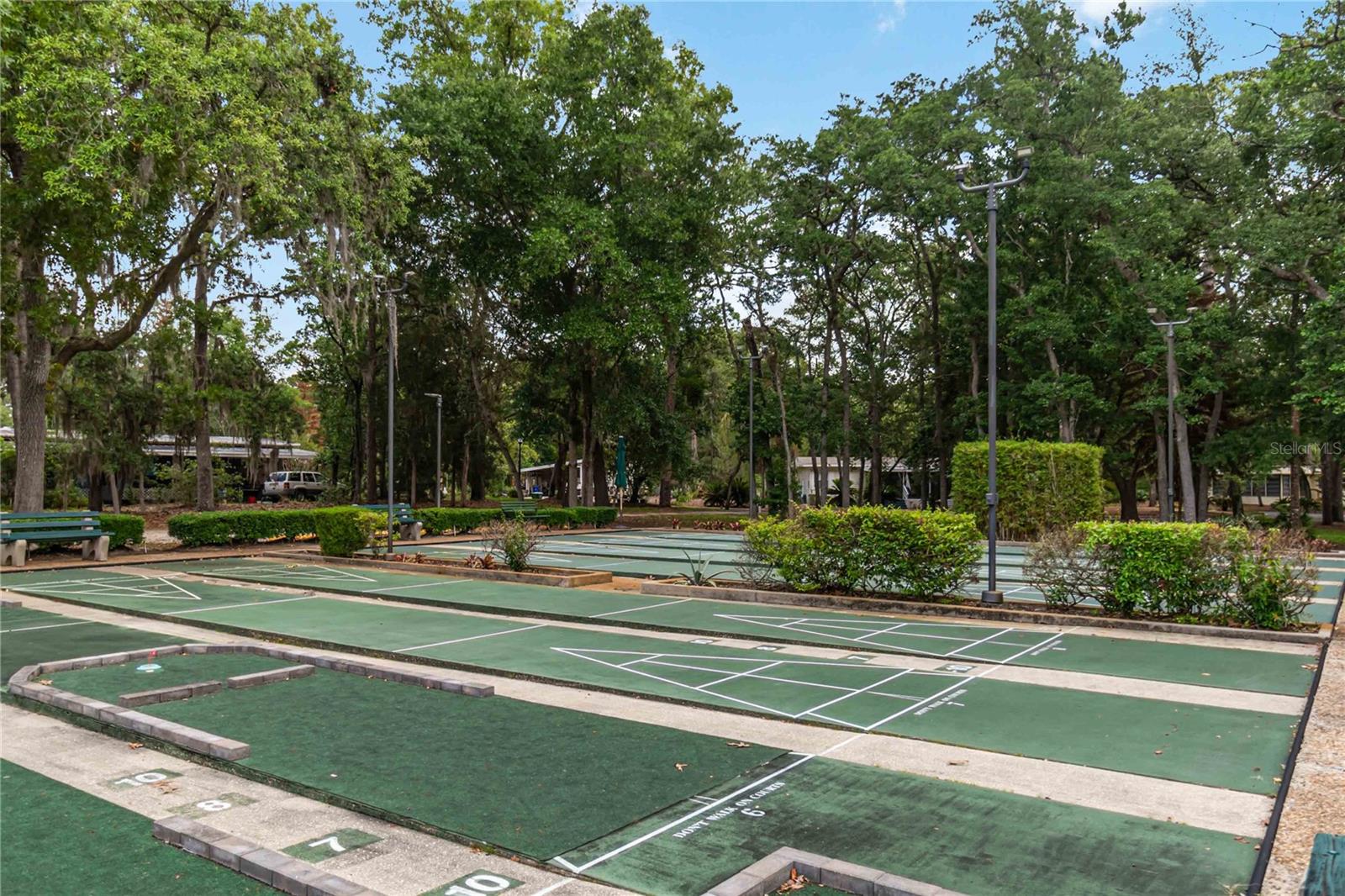 FOREST THE - Residential