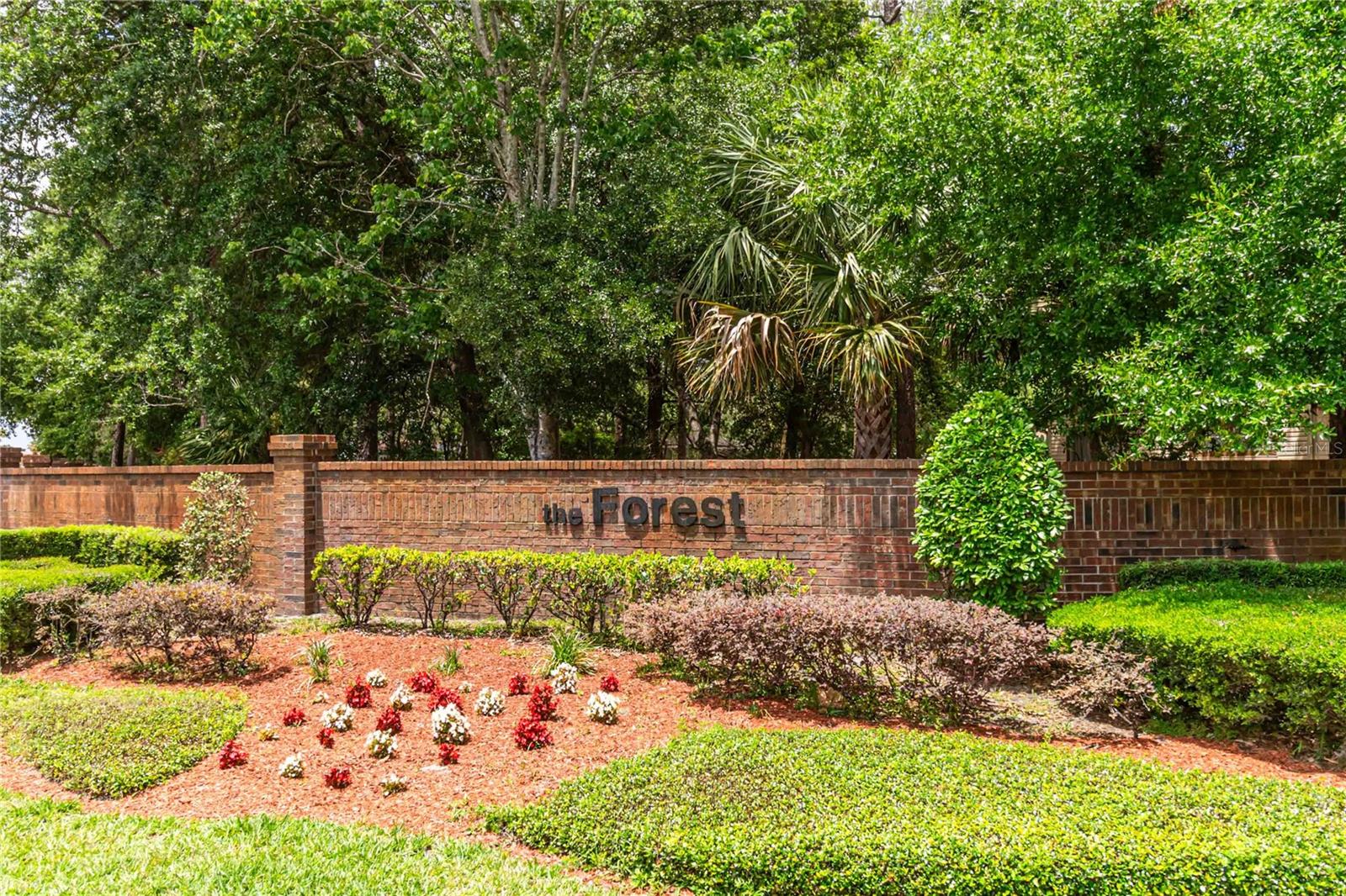 FOREST THE - Residential