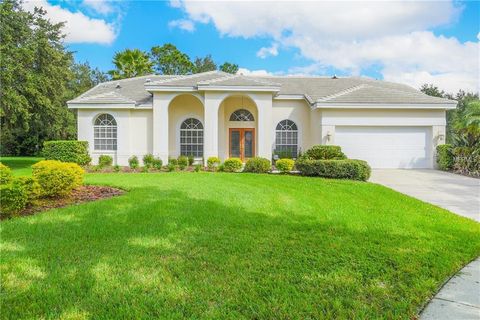 A home in TAMPA