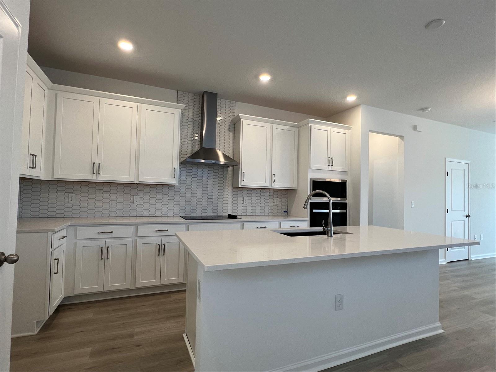 HILLS OF MINNEOLA - Residential