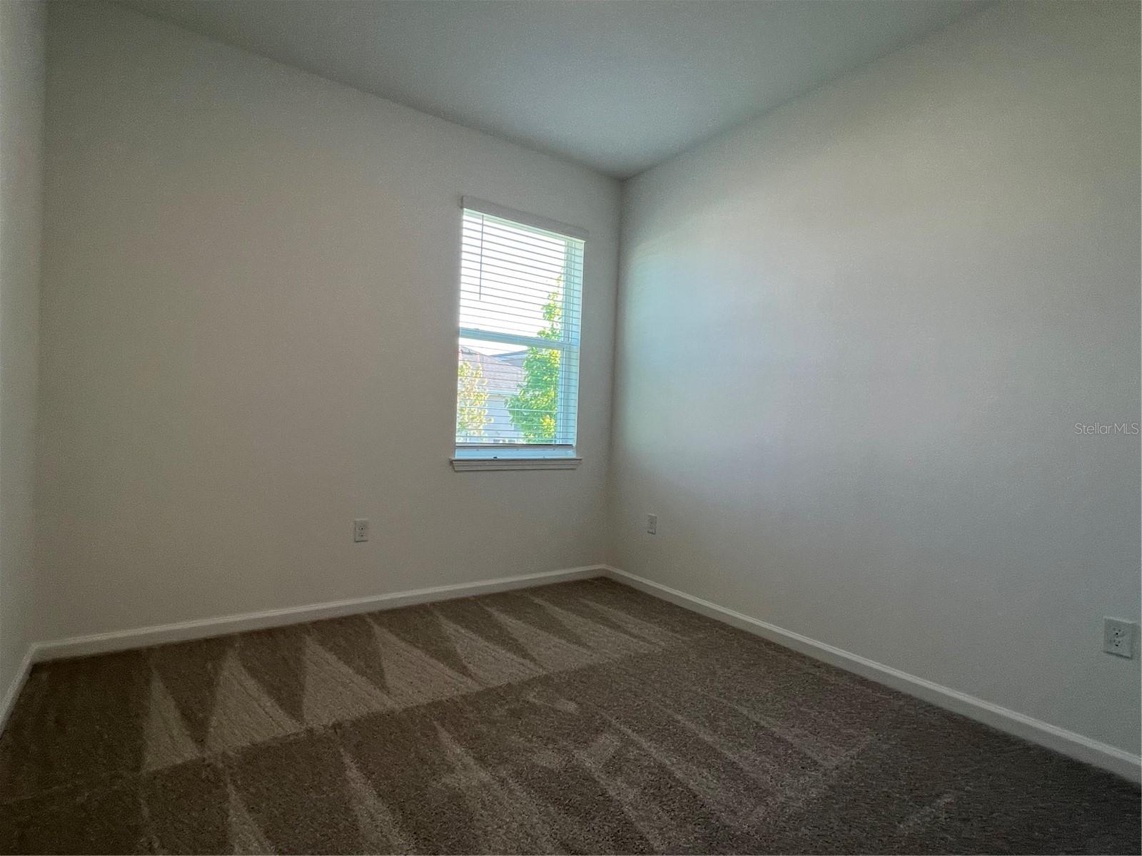 HILLS OF MINNEOLA - Residential