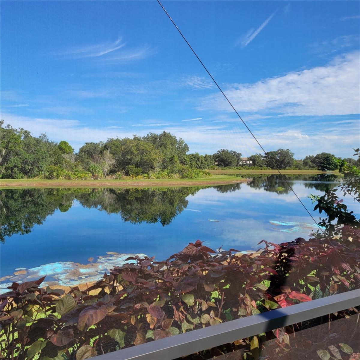 POLO RUN PH IA & IB - Residential Lease