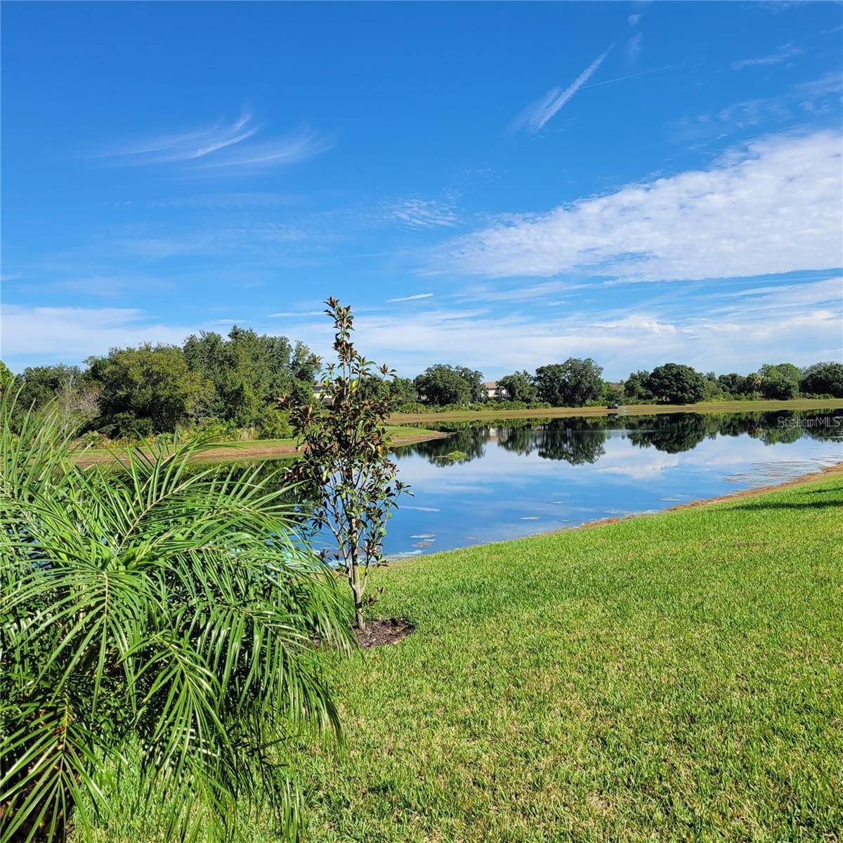 POLO RUN PH IA & IB - Residential Lease