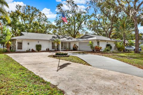 A home in LAND O LAKES