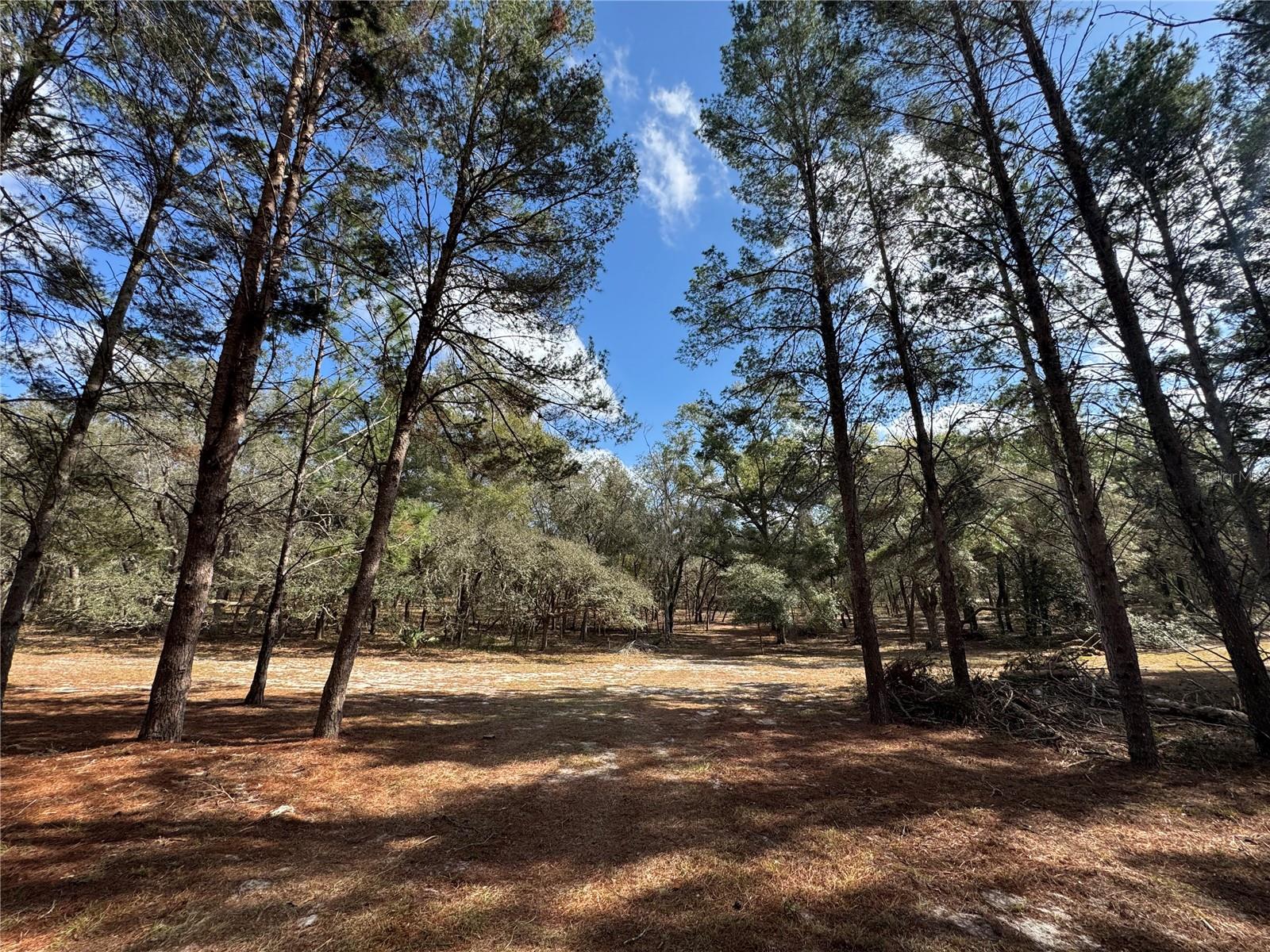 EAGLE RIDGE ESTATES - Land