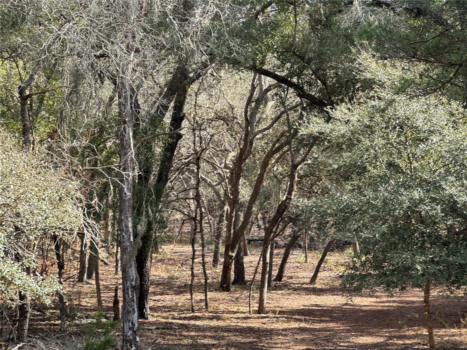 EAGLE RIDGE ESTATES - Land