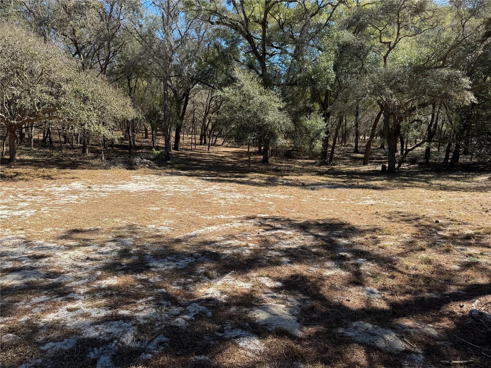 EAGLE RIDGE ESTATES - Land