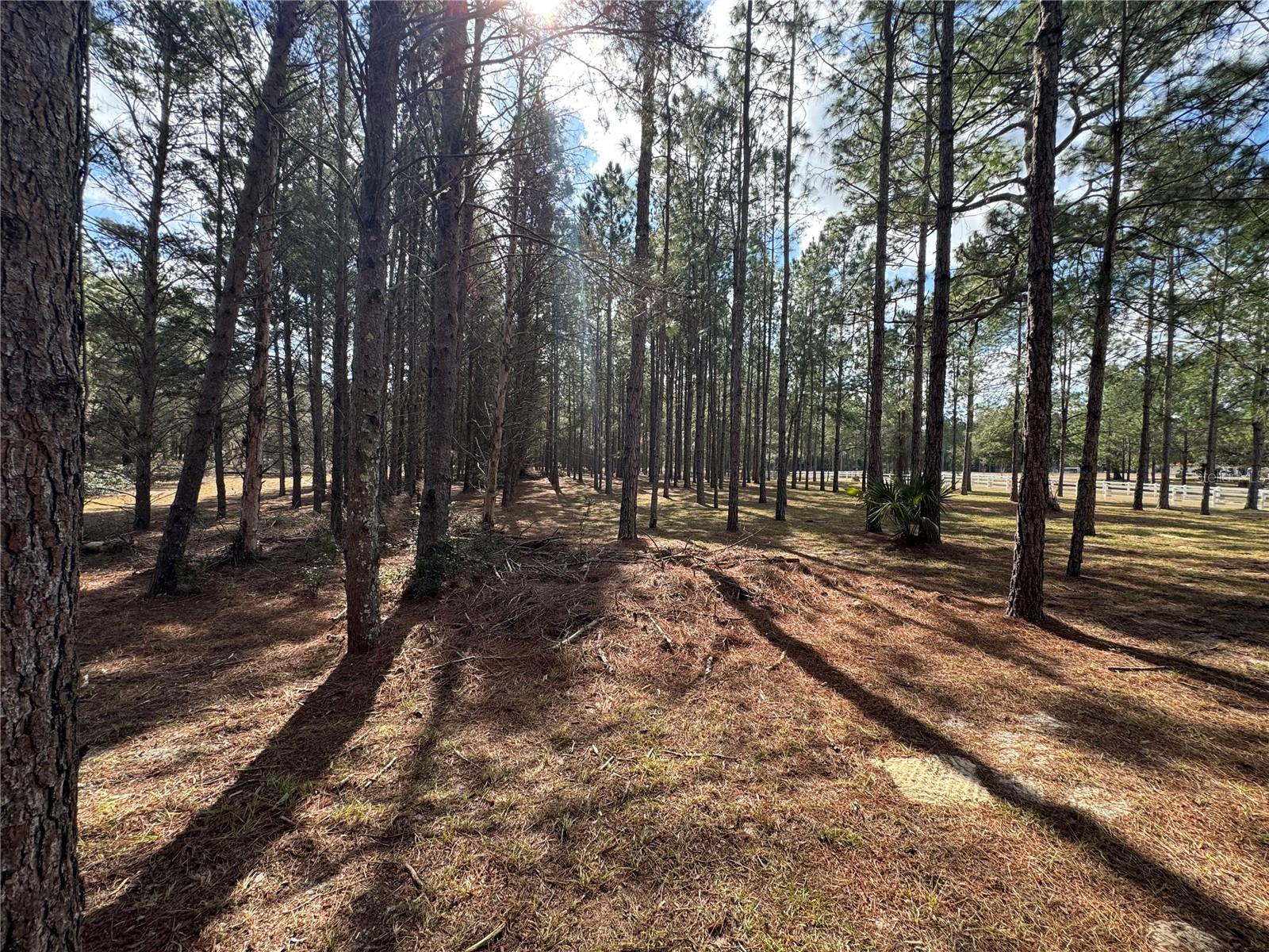 EAGLE RIDGE ESTATES - Land