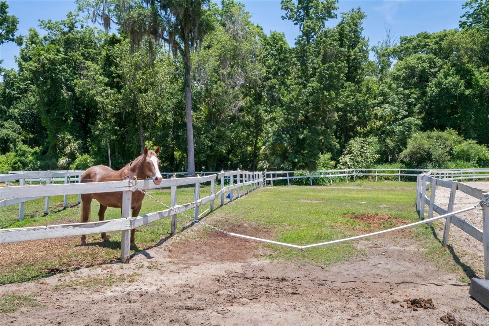 SPRINGS WHISPERING PINES SEC 1 - Residential