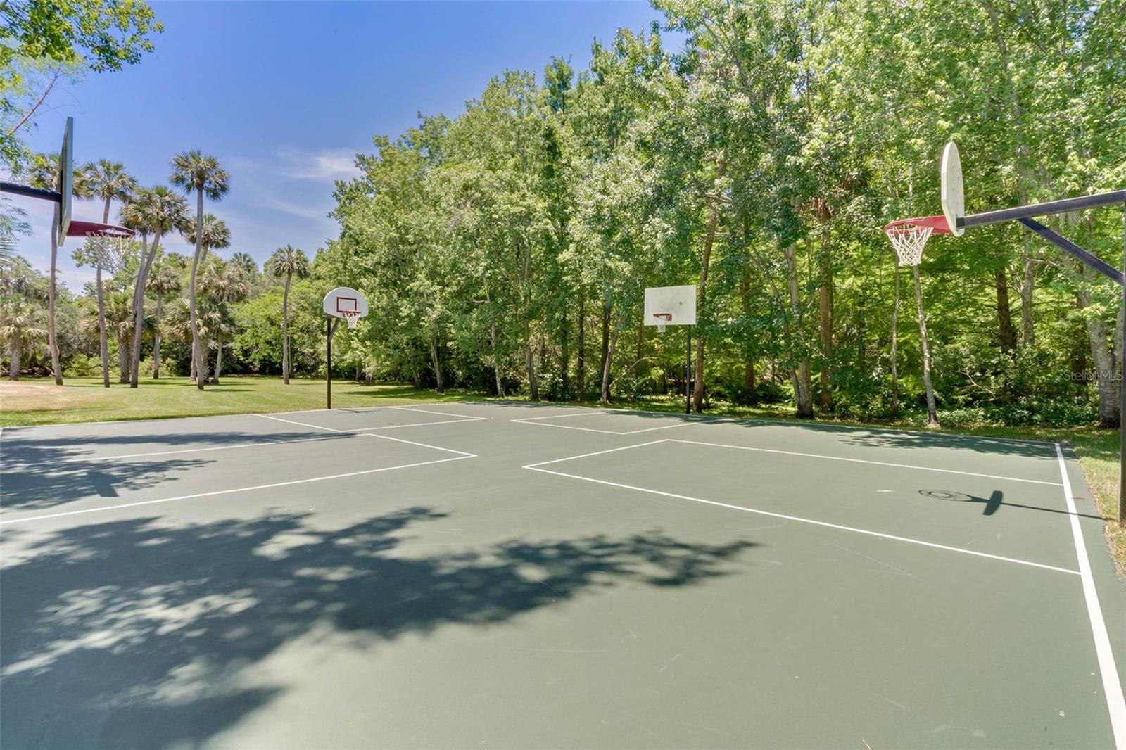 SPRINGS WHISPERING PINES SEC 1 - Residential