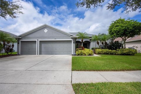 A home in RIVERVIEW