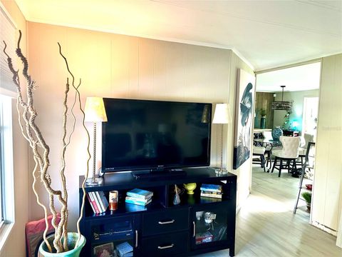 Tiny photo for 2409 Vindale Road, Tavares, FL 32778 (MLS # G5113074)