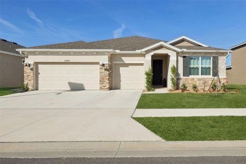 10509 BRIDGEGATE HEIGHTS LOOP SAN ANTONIO FL 33576