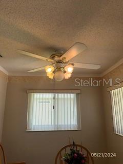 PALM COAST SEC 24 - Residential