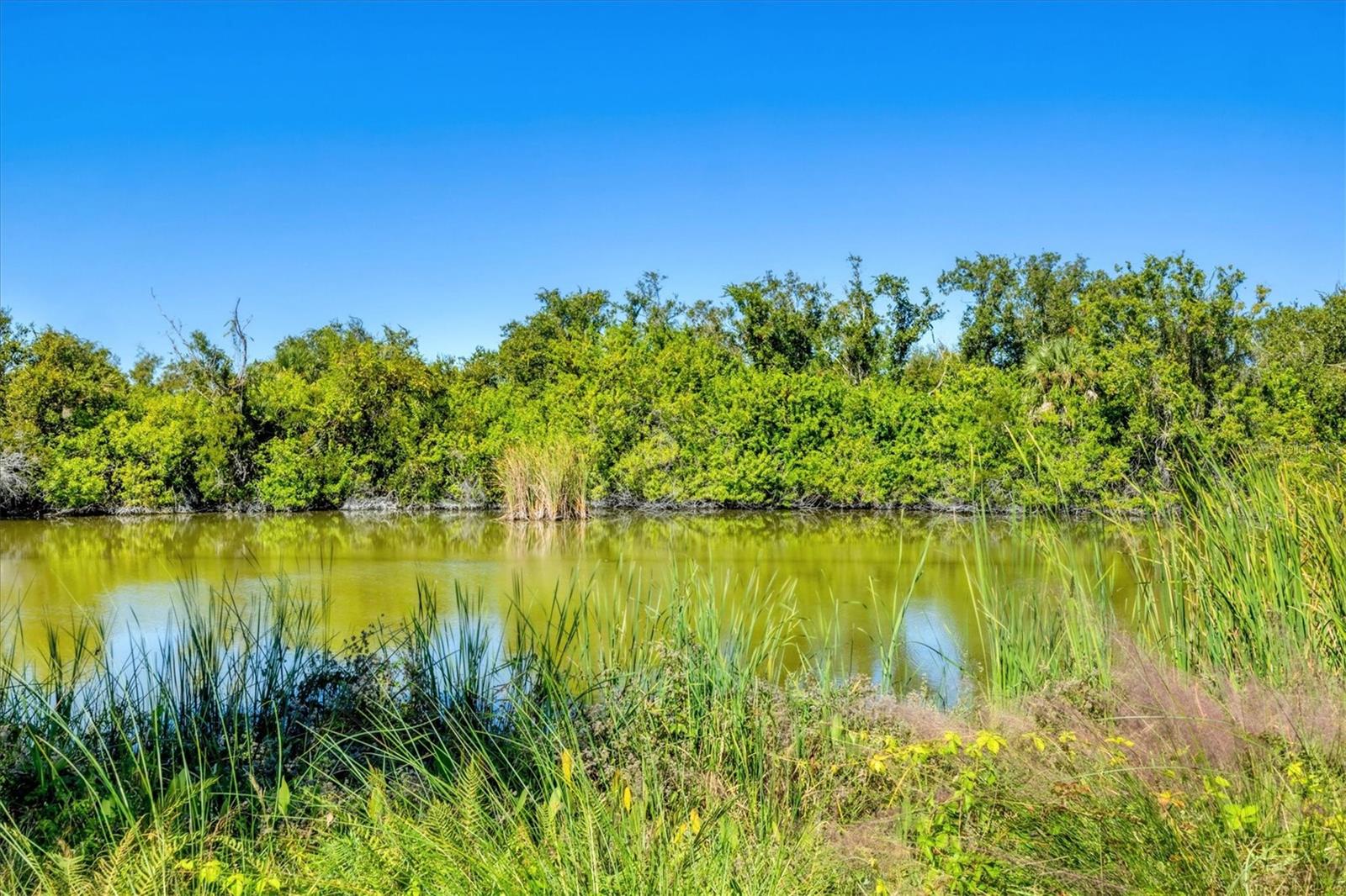 THE LAKES OF JACARANDA - Residential