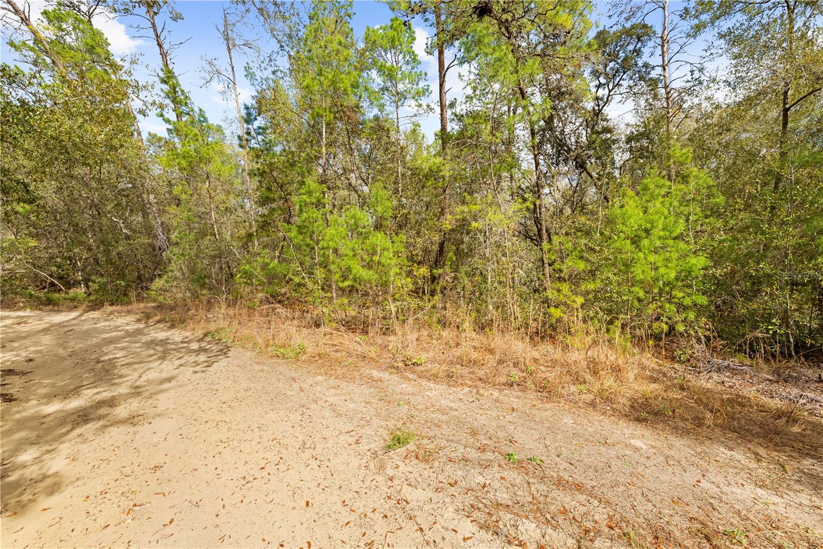 INVERNESS VILLAGE UNIT 03 - Land