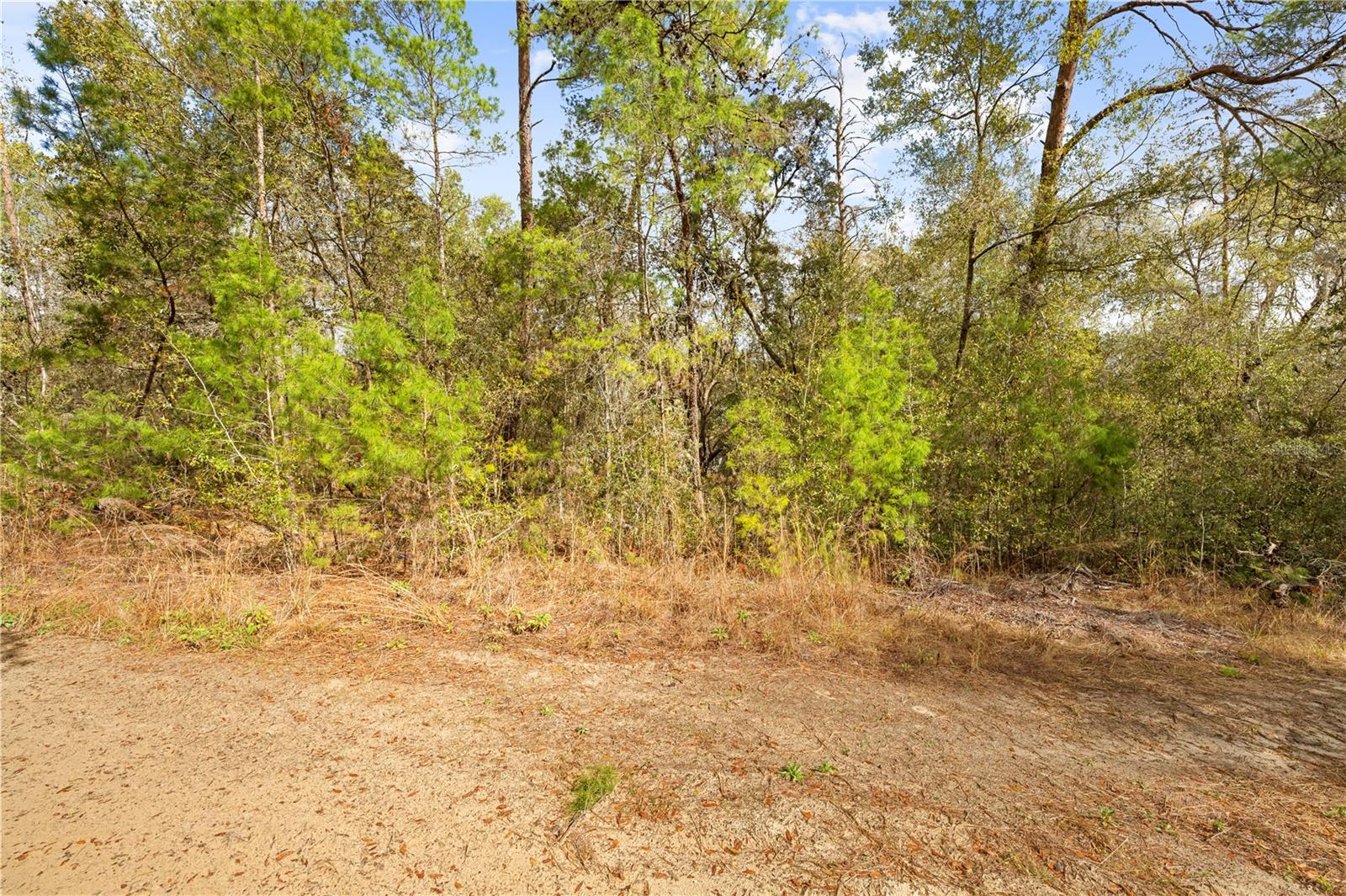 INVERNESS VILLAGE UNIT 03 - Land