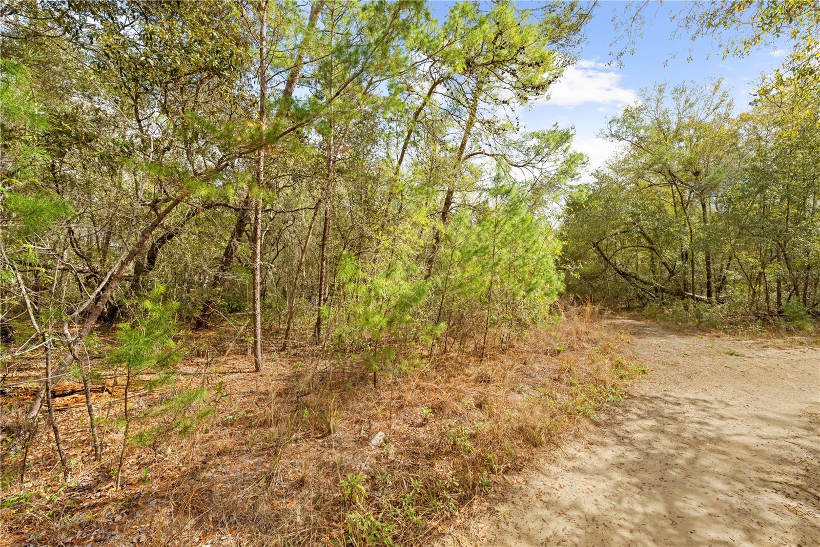 INVERNESS VILLAGE UNIT 03 - Land