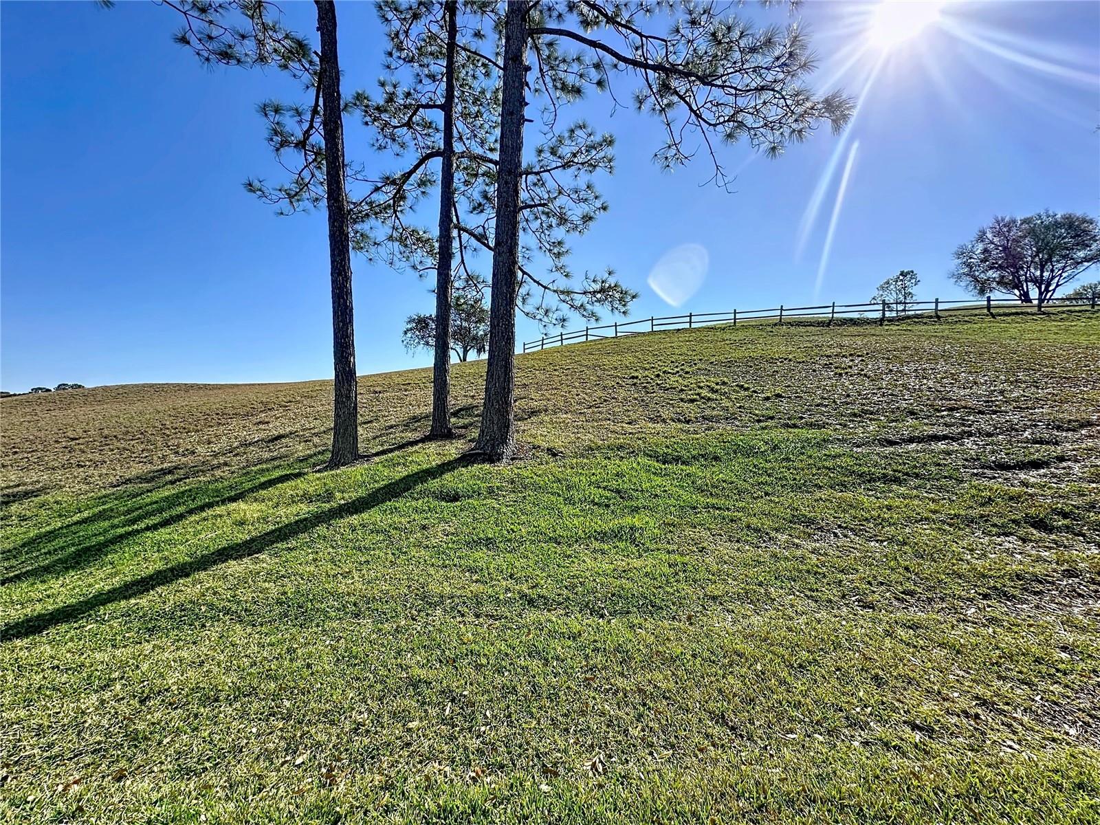 KINGS RIDGE - Residential