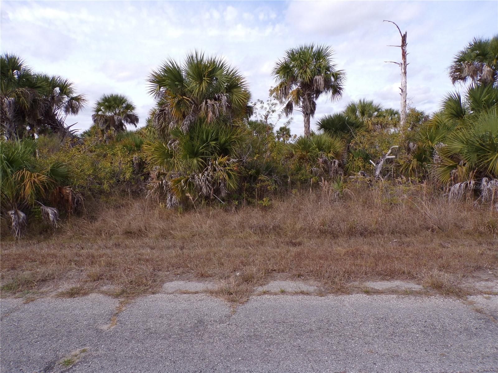 PORT CHARLOTTE SUB 46 - Land