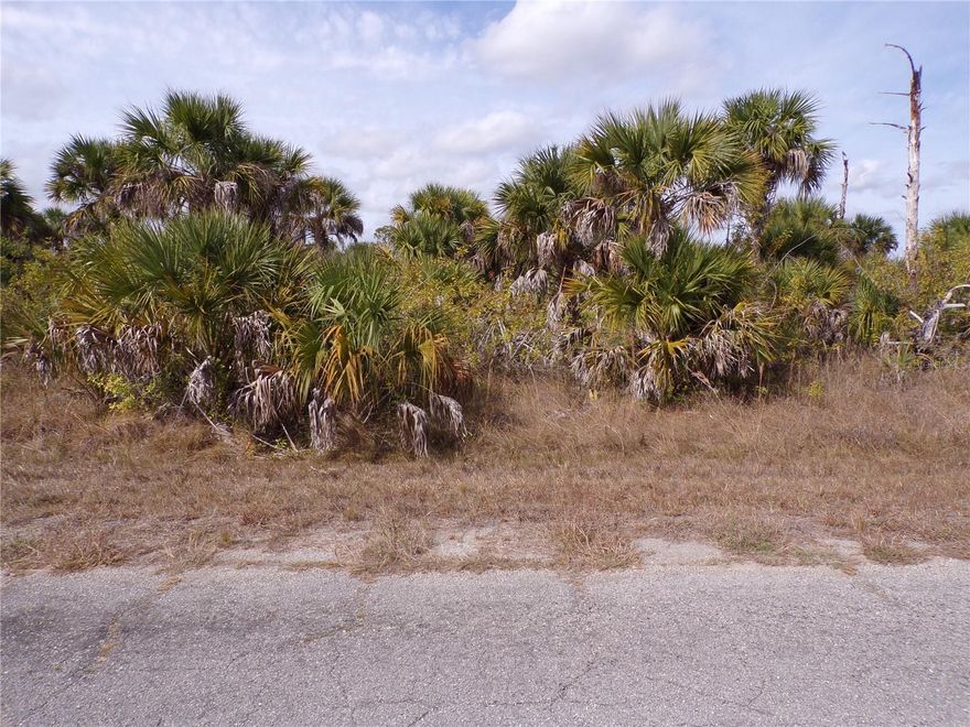 This lot is on a quiet street, that would be a great place to build your dream home and retire or raise your family. Less than 7 miles to I75 makes this location an easy commute to almost anywhere, and only 26 miles to Chadwick Park and Englewood Beach with amazing sunsets, 13 miles to Cocoplum Village Shops with lots of shopping and dining options. Atlanta Braves spring training and the fairgrounds are just minutes away, also multiple golf courses and some of the best boating and fishing in all of Florida. Red Soxs, Orioles, Twins and Rays spring training all within an hour’s drive. Buyer and buyers’ reps are responsible for determining environmental conditions and endangered species restrictions. This lot is priced to sell so please call for availability! This lot is at a great price point for the investor call today.