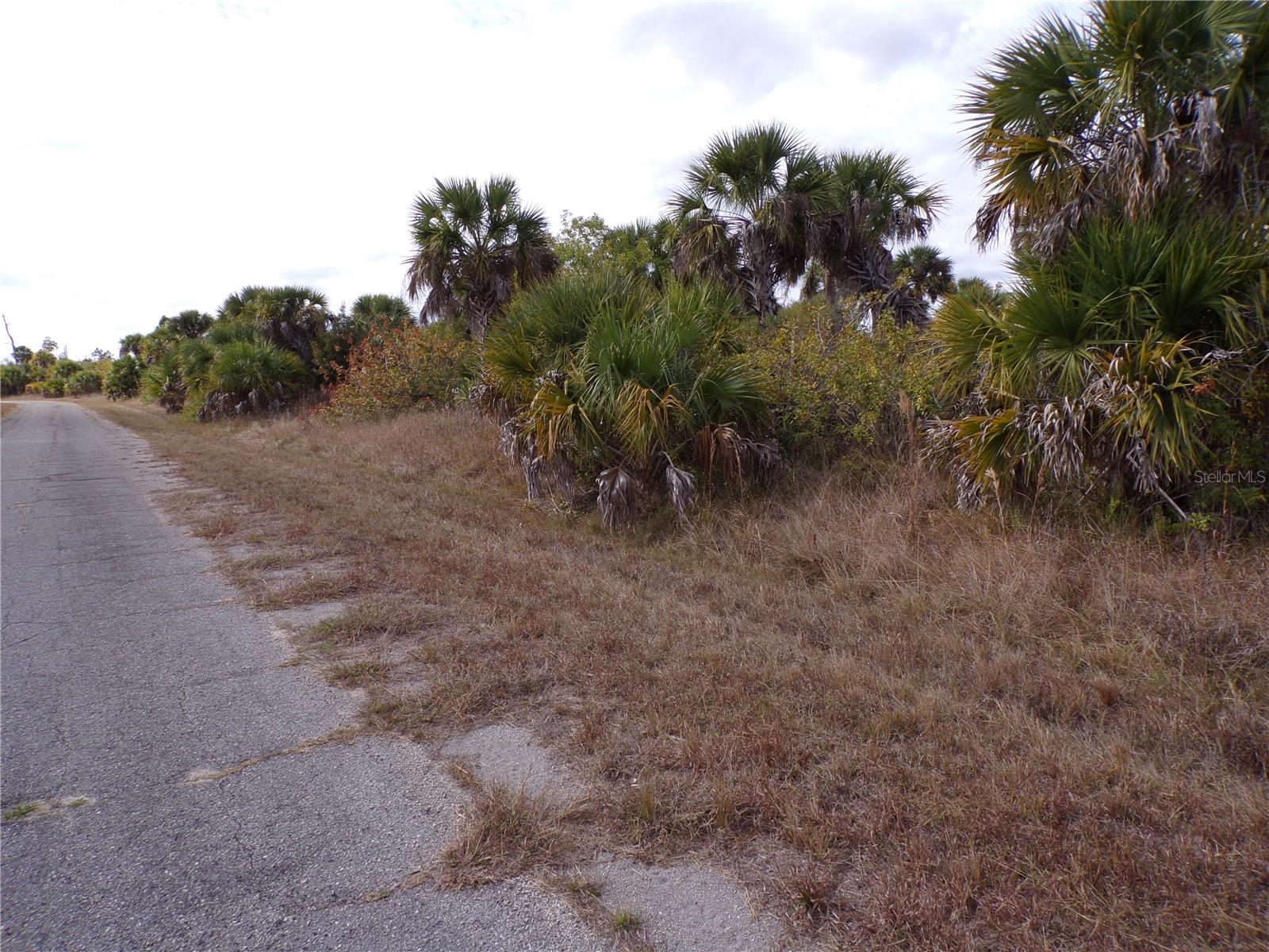 PORT CHARLOTTE SUB 46 - Land