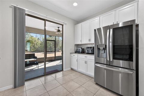 Tiny photo for 17128 Basswood Lane, Clermont, FL 34714 (MLS # O6378342)