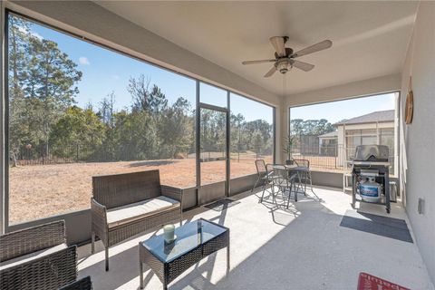 Tiny photo for 17128 Basswood Lane, Clermont, FL 34714 (MLS # O6378342)