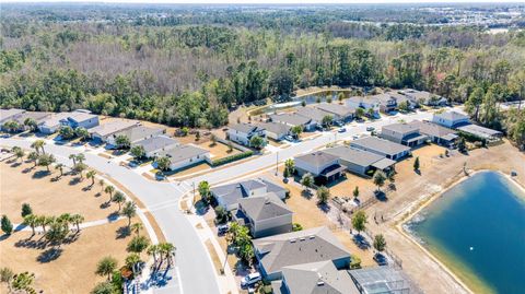 Tiny photo for 17128 Basswood Lane, Clermont, FL 34714 (MLS # O6378342)