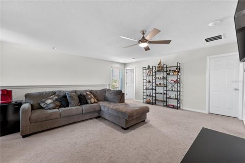 Tiny photo for 17128 Basswood Lane, Clermont, FL 34714 (MLS # O6378342)