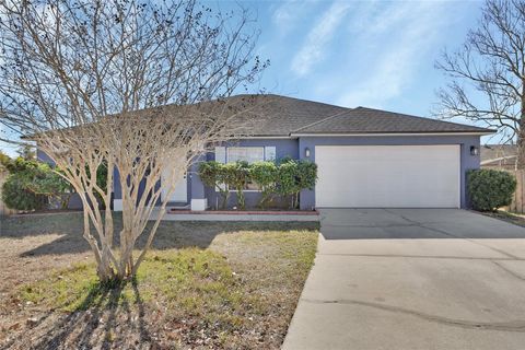 Photo of 828 White Birch Court, Orange City, FL 32763 (MLS # V4947268)