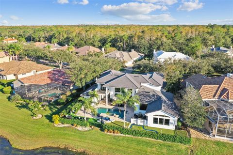 A home in OLDSMAR