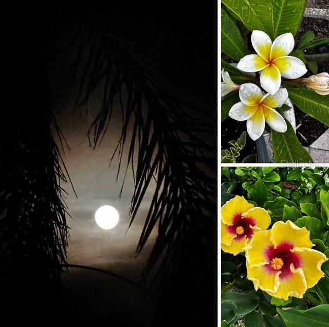 PARADISE BAY ESTATES CO-OP - Residential