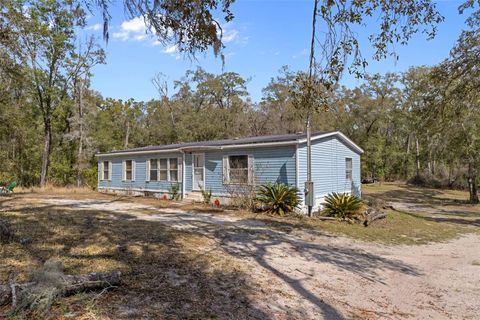 Photo of 11881 SW 45th Street, Webster, FL 33597 (MLS # G5108543)