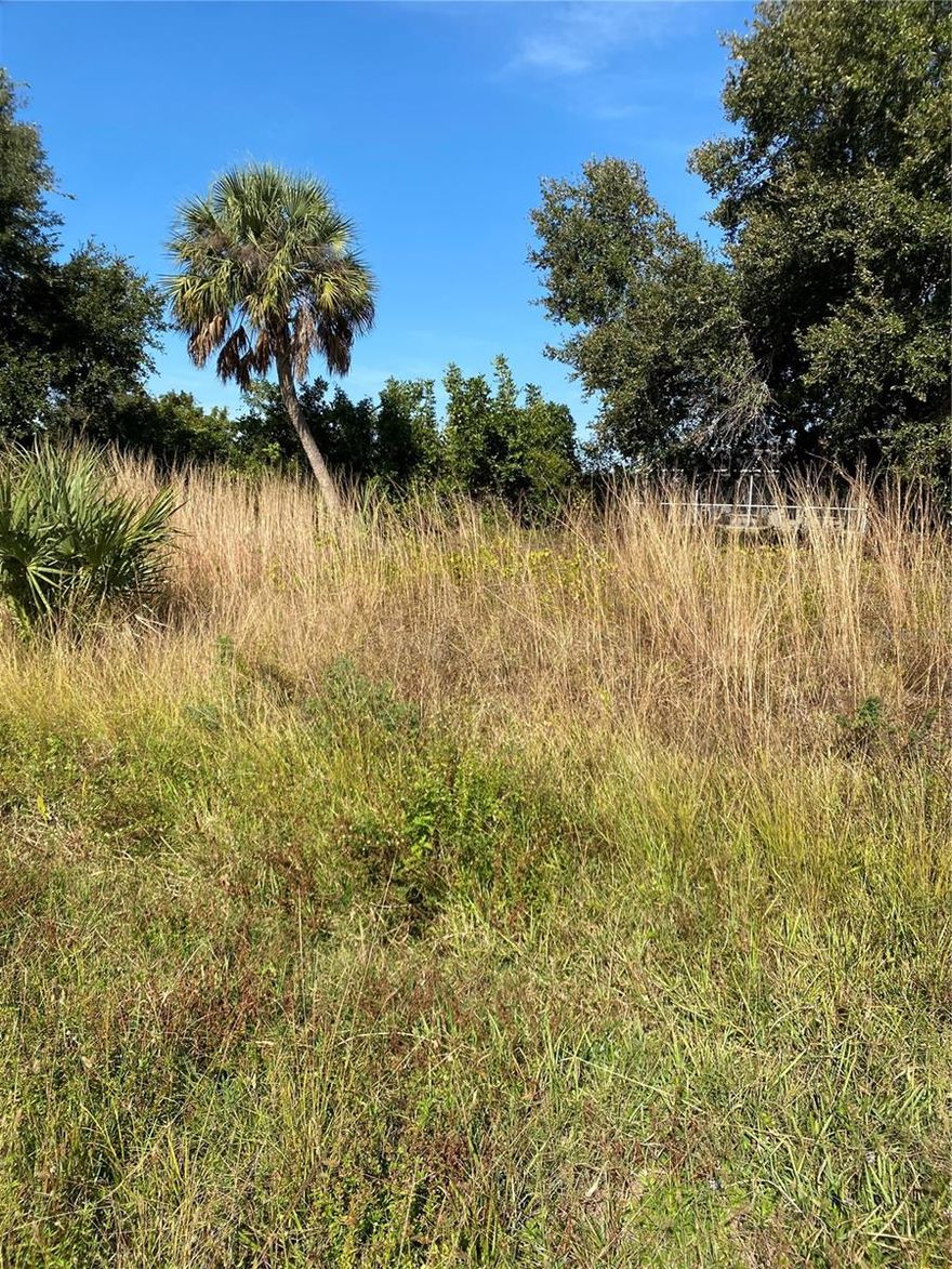 Build your dream home on this CLEARED and elevated vacant lot located in the highly sought-after Warm Mineral Springs area of North Port. This fully buildable parcel offers a fantastic opportunity in a peaceful, established neighborhood just minutes from the world-renowned healing springs.

The property is located in a NO flood zone, providing peace of mind and no flood insurance requirements. With easy access to shopping, dining, parks, and major roadways, this lot is ideal for a future primary residence, vacation home, or investment.

A great chance to secure land in one of North Port’s most desirable areas—bring your vision and make it a reality!