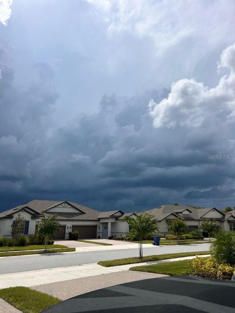 9808 CAMPANULA COURT LAND O LAKES FL 34637