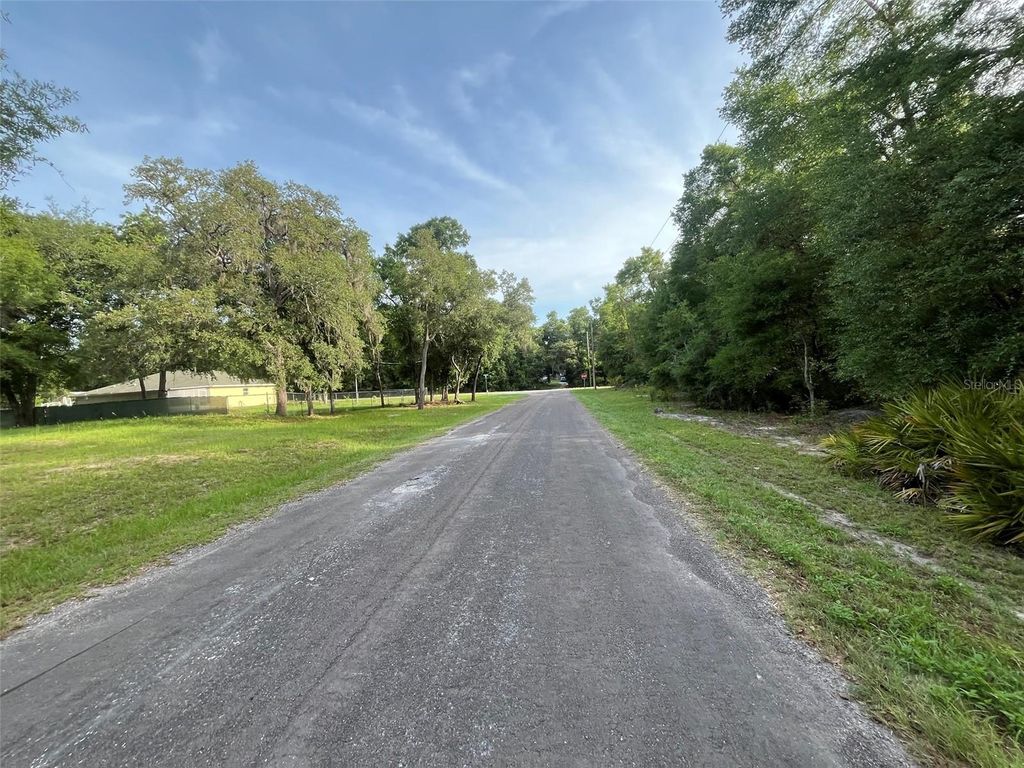 Photo of 6634 N Pagoda Tree Terrace, Hernando, FL 34442 (MLS # OK225315)