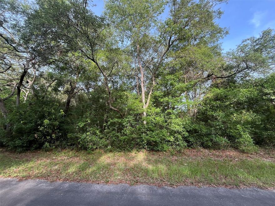 Owner Financing Available.  Do not miss out on this high and dry lot in River Lakes Manor.  No HOA.  Convenient location, between Hernando and Ocala. Enjoy the many amenities as you explore Rails to Trails, Lake Tsala Apopka Chain of Lakes, fishing, golfing, Withlacoochee State Forest and more. See all that Citrus County has to offer!! Lots of new shopping and amenities are coming to the area as well. Investing in land in Florida is a wise choice for your future, whether you're looking to build your dream home, a vacation getaway, a rental property, or simply let the land appreciate as a valuable long-term asset to resell at a profit in the future.