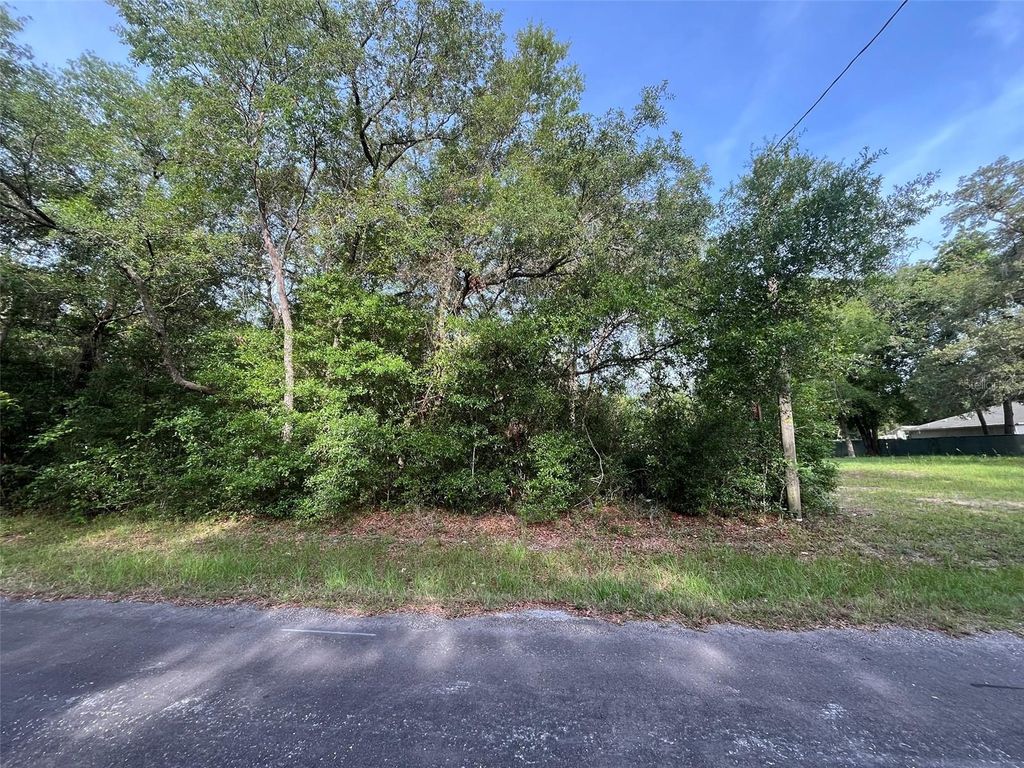 Photo of 6634 N Pagoda Tree Terrace, Hernando, FL 34442 (MLS # OK225315)