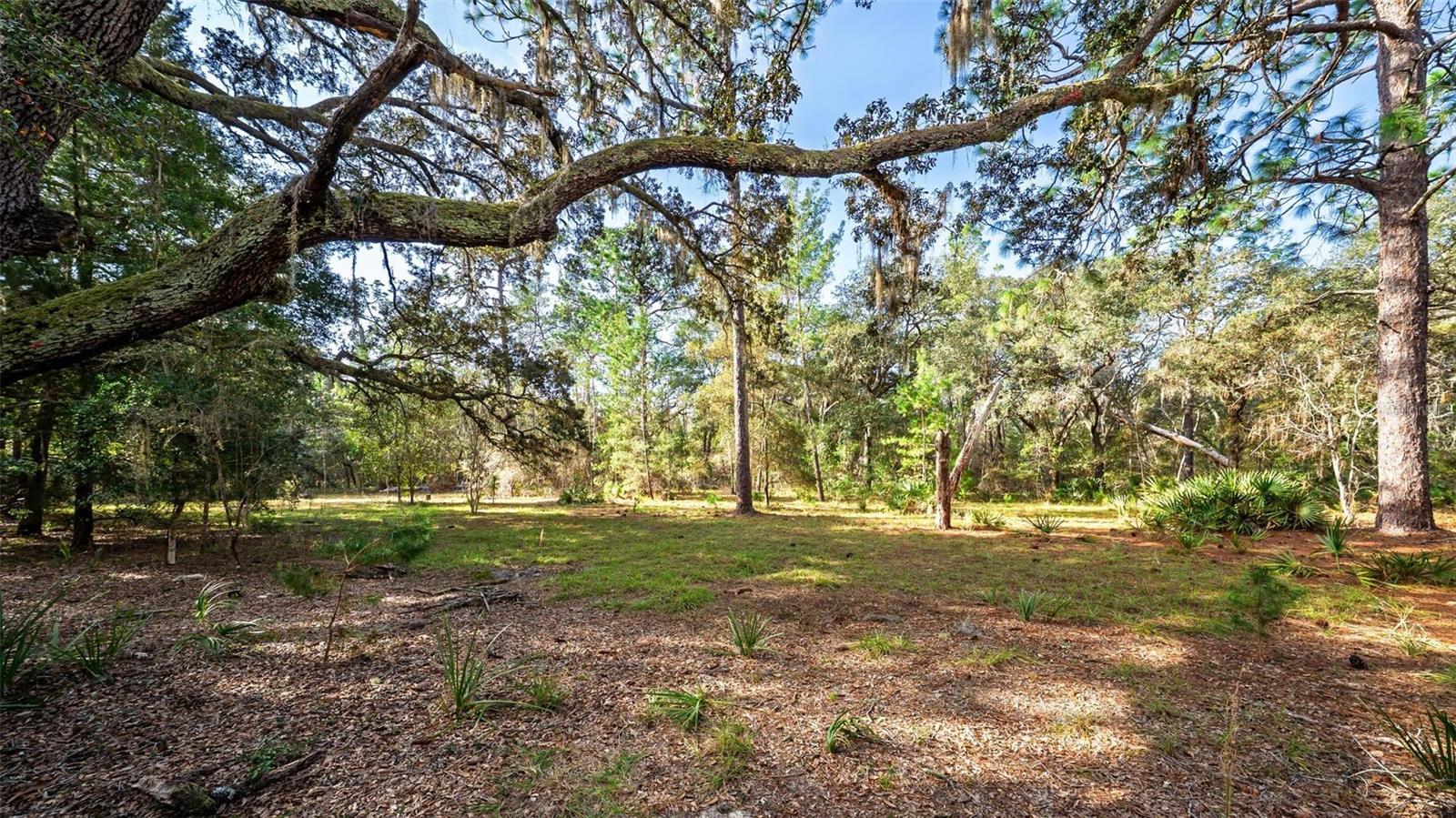 MAYWOOD - Residential