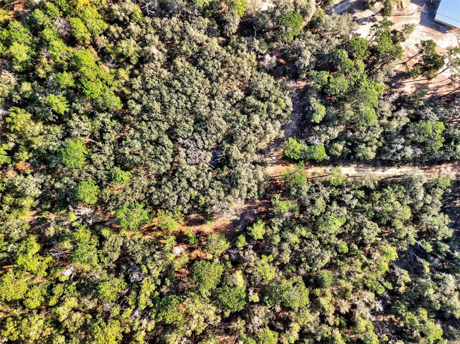 MAYWOOD - Residential