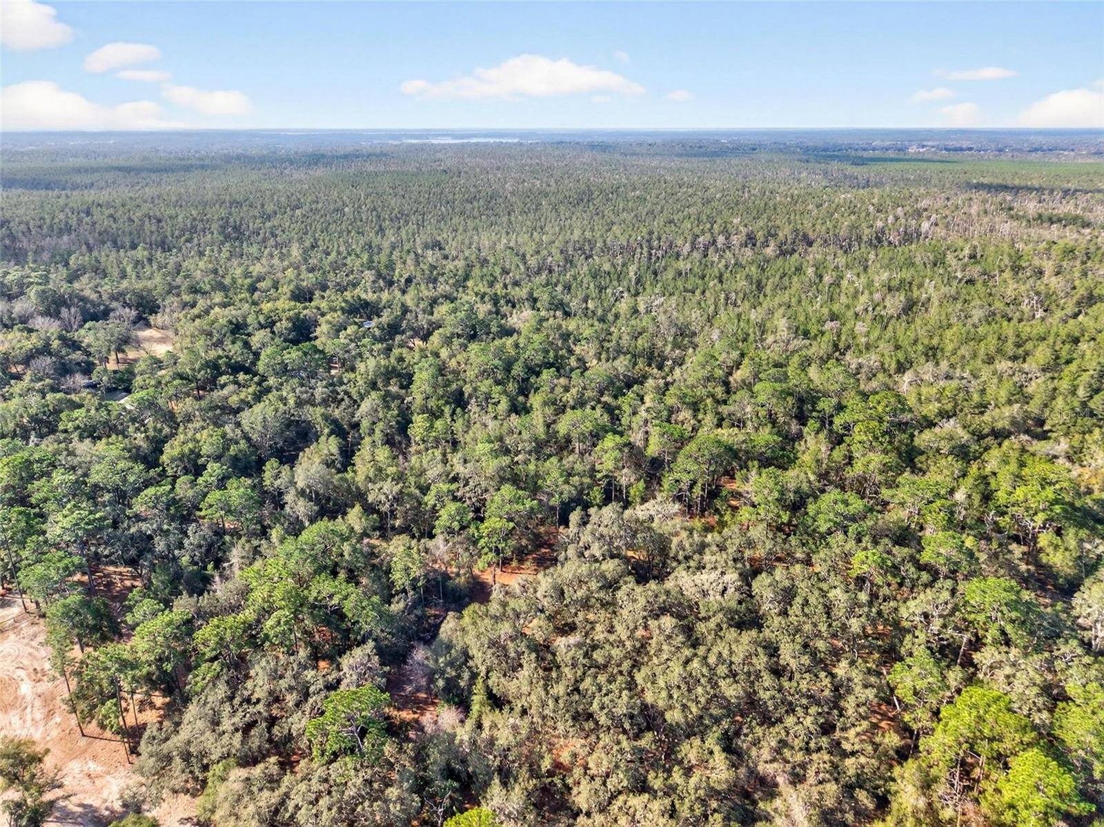 MAYWOOD - Residential