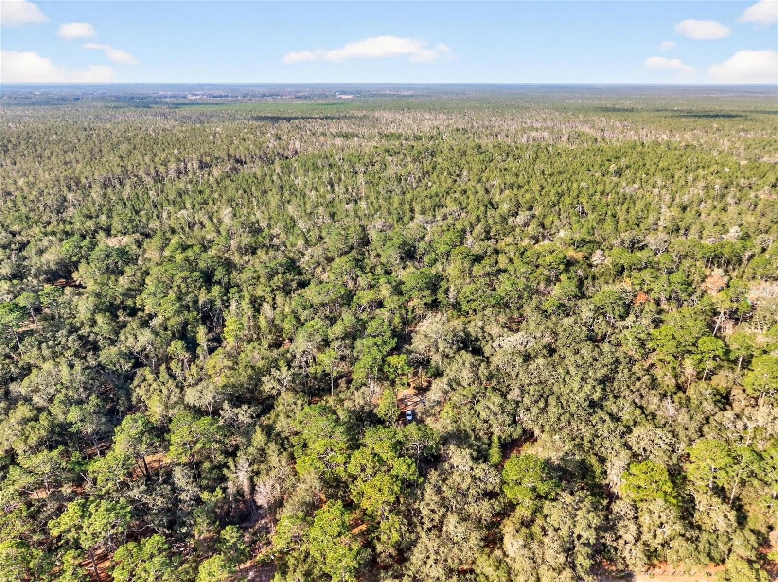 MAYWOOD - Residential