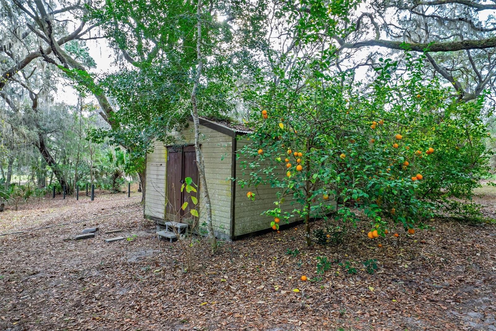 MAYWOOD - Residential