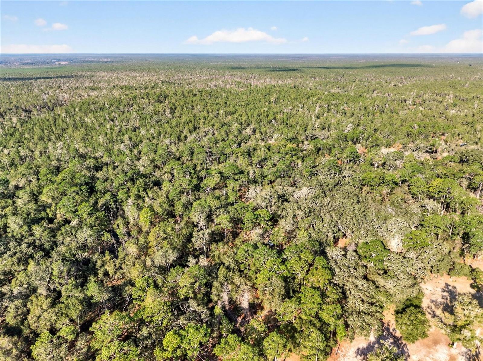 MAYWOOD - Residential