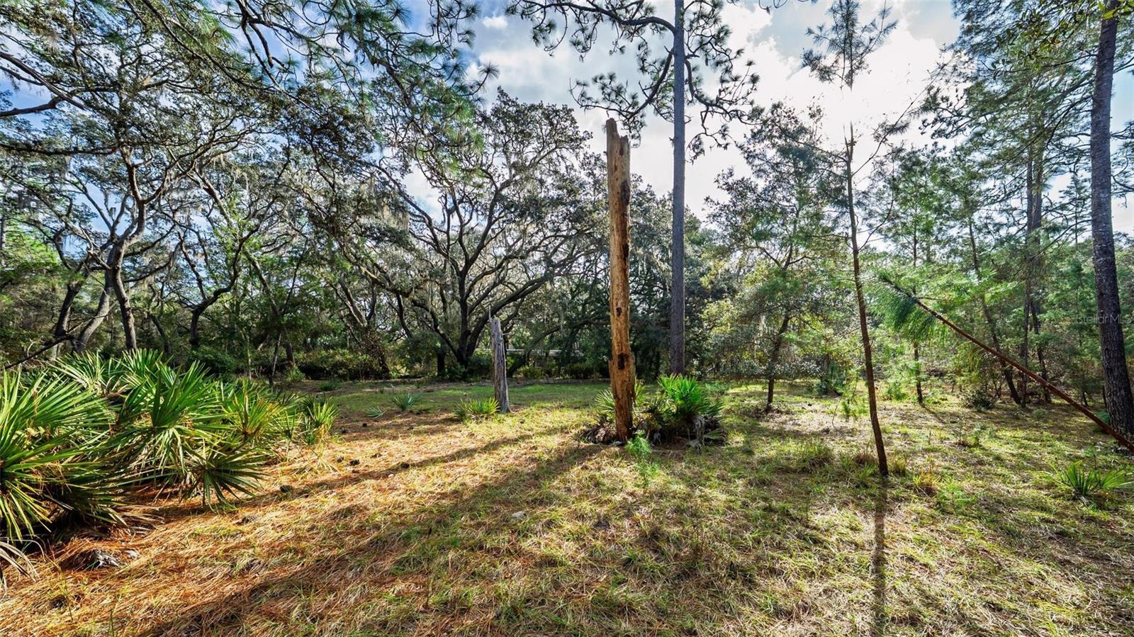 MAYWOOD - Residential